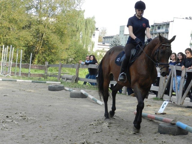Babie Lato 2016